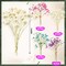 200 Pcs Dried Baby's Breath Flowers Preserved Baby's Breath (4 Colors)